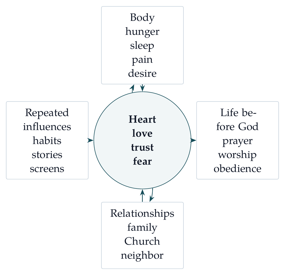 Whole person diagram. The heart is central, but it is never detached from the body, relationships, repeated influences, or life before God.