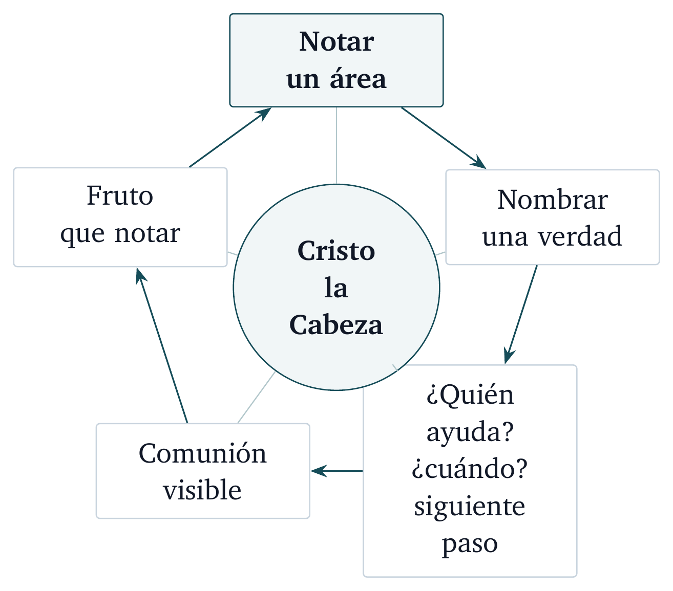 Ciclo de regreso de la iglesia. Una verdad nombrada se vuelve obediencia visible y regresa para atención honesta.